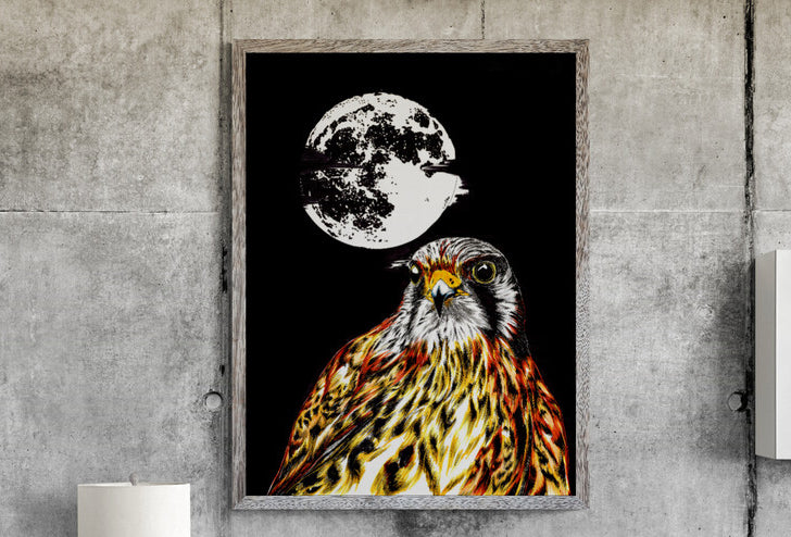 Falcon Original Hand Drawn Wall Art Poster