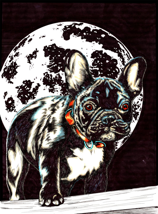 French Bulldog Original Hand Drawn Wall Art Poster