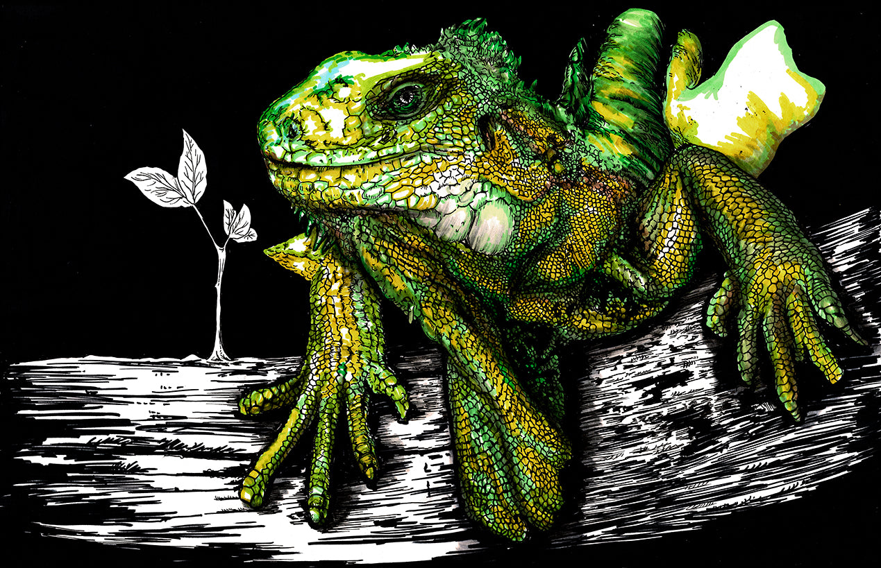 Iguana Original Hand Drawn Wall Art Poster