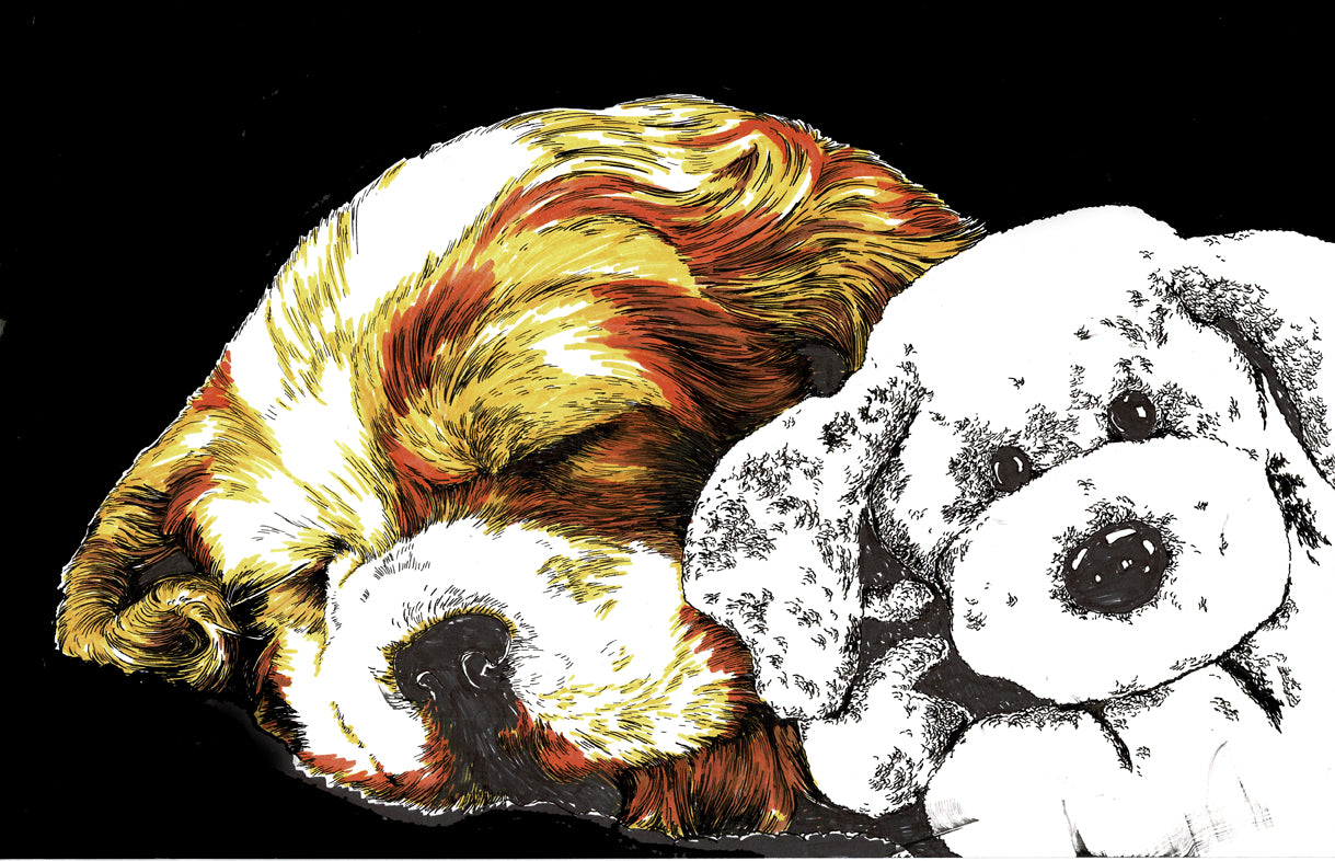 King Charles Cocker Spaniel Wall Art Poster