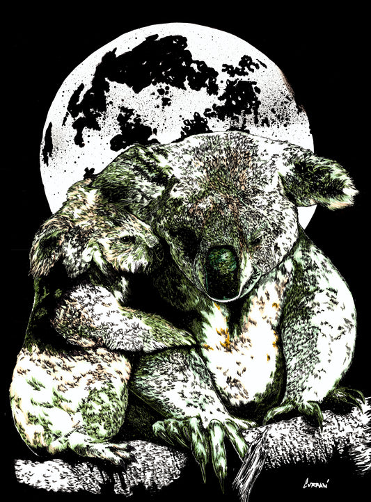 Koalas Wall Art Poster