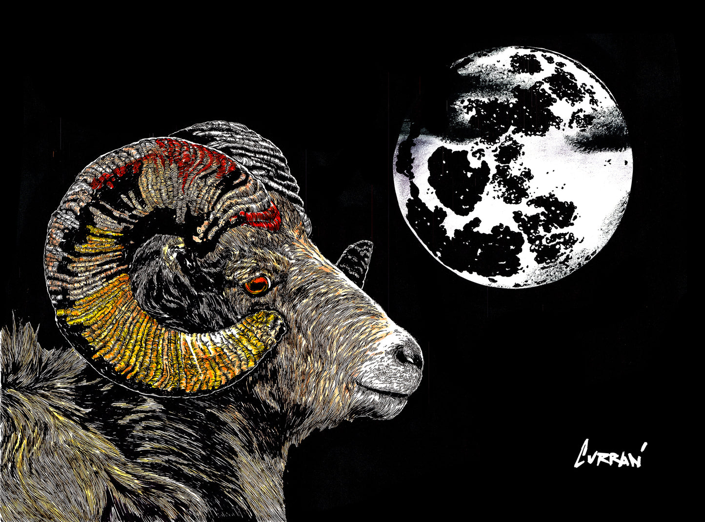Mountain Ram Wall Art Poster