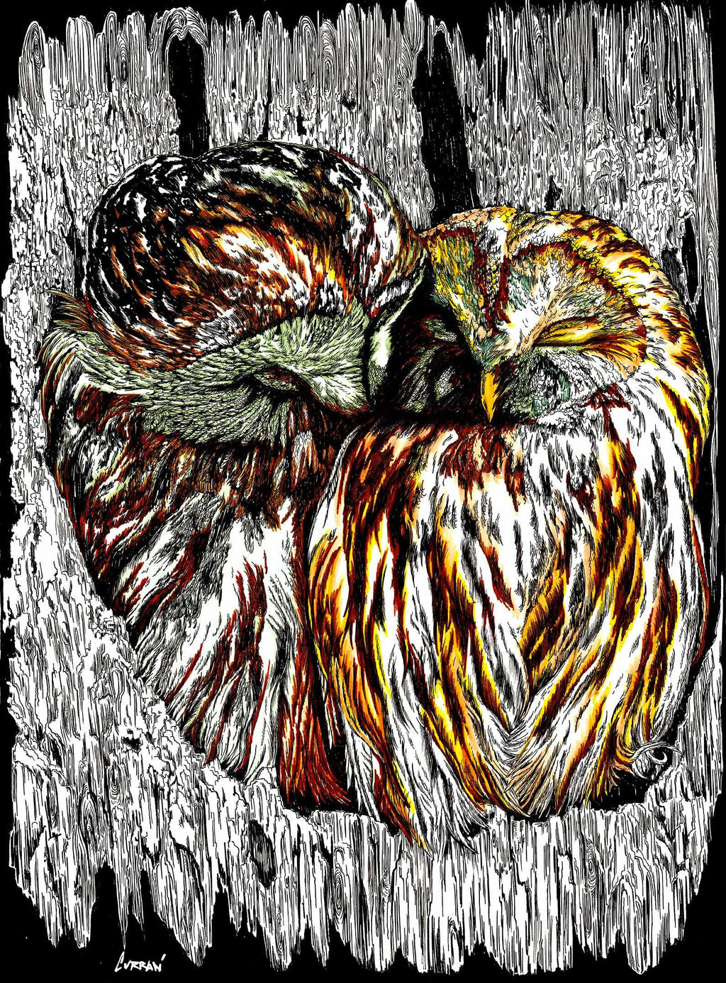Owls Wall Original Hand Drawn Wall Art Poster