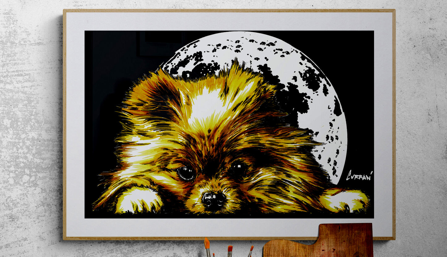 Pomeranian Wall Art Poster