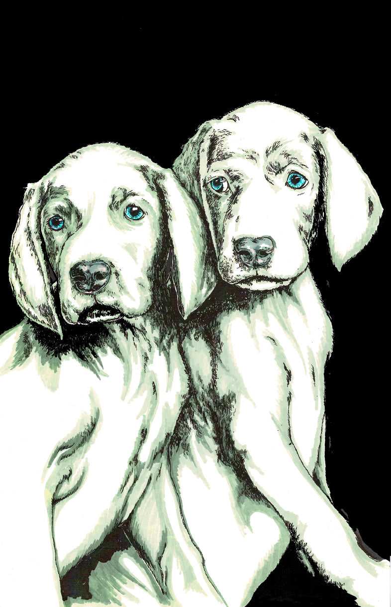 Puppy 1 Wall Art Poster by Artist Kris Curran