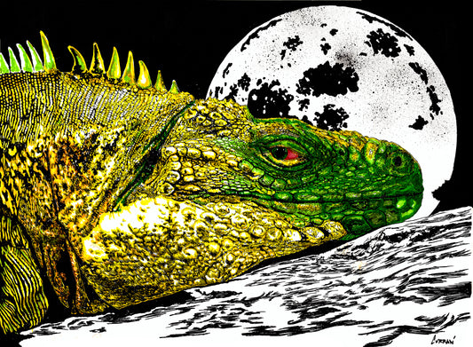 Reptile Wall Art Poster
