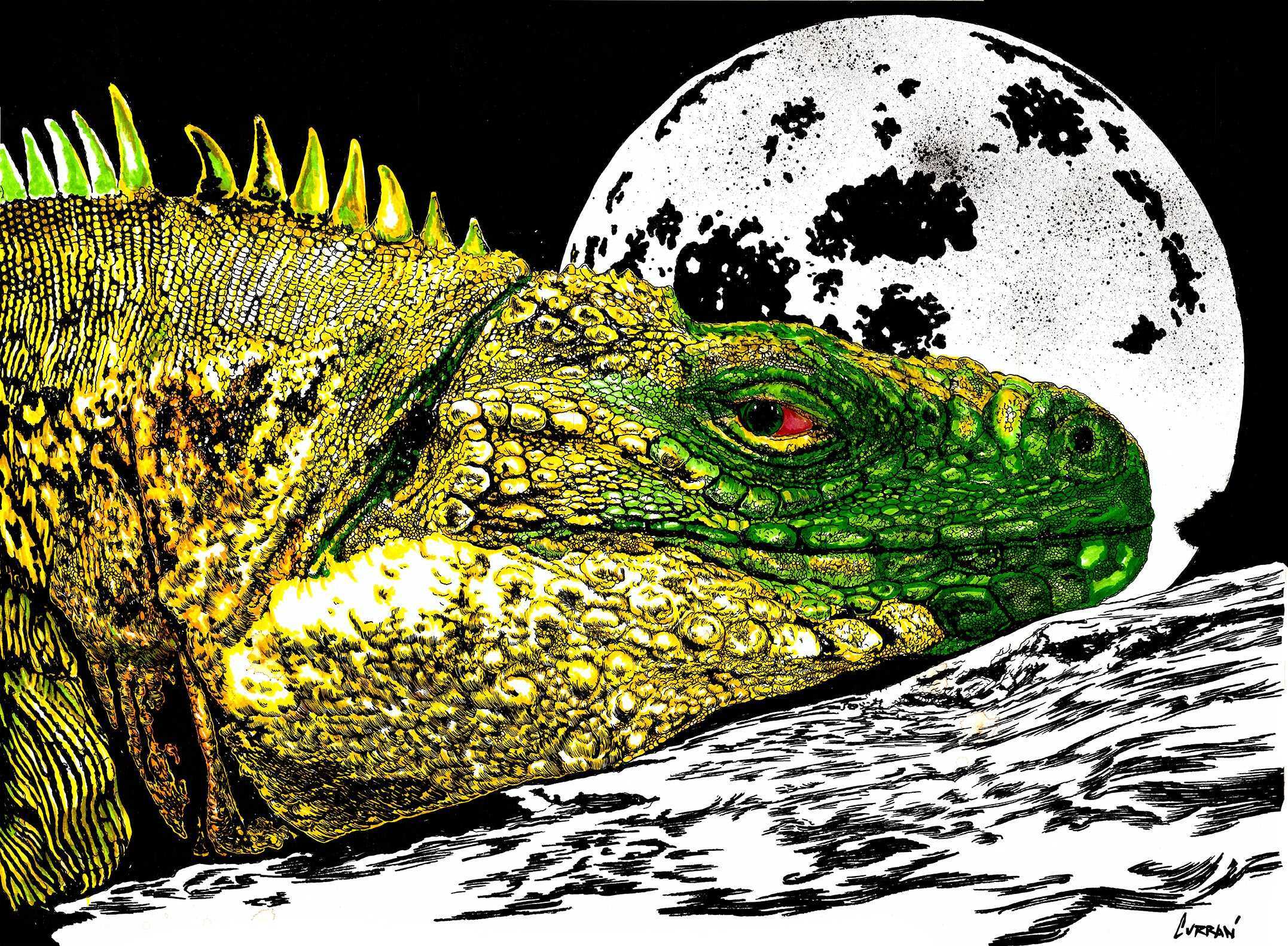 Discover the allure of Moonlit Stillness – Original Hand-Drawn Reptile art, a unique masterpiece that captures beauty in the stillness.