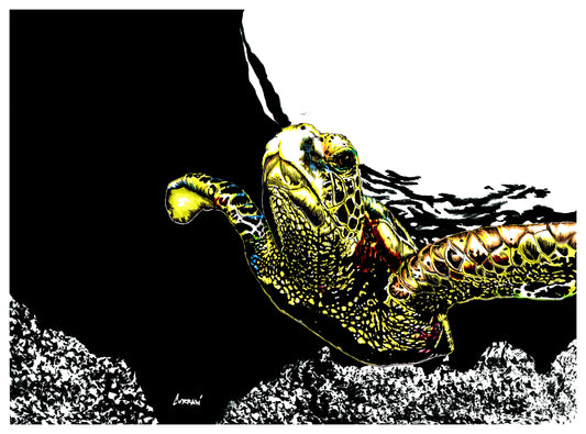 Sea Turtle Wall Art Poster