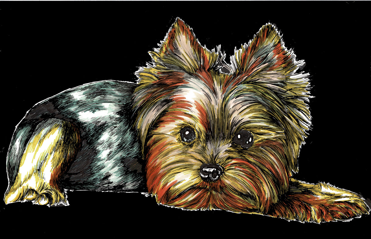 Yorkie Terrier 2 Wall Art Poster