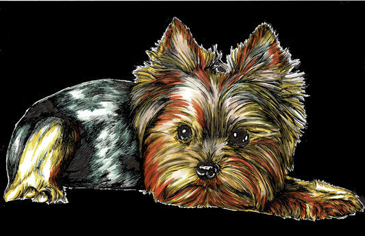 Yorkie Terrier 2 Wall Art Poster