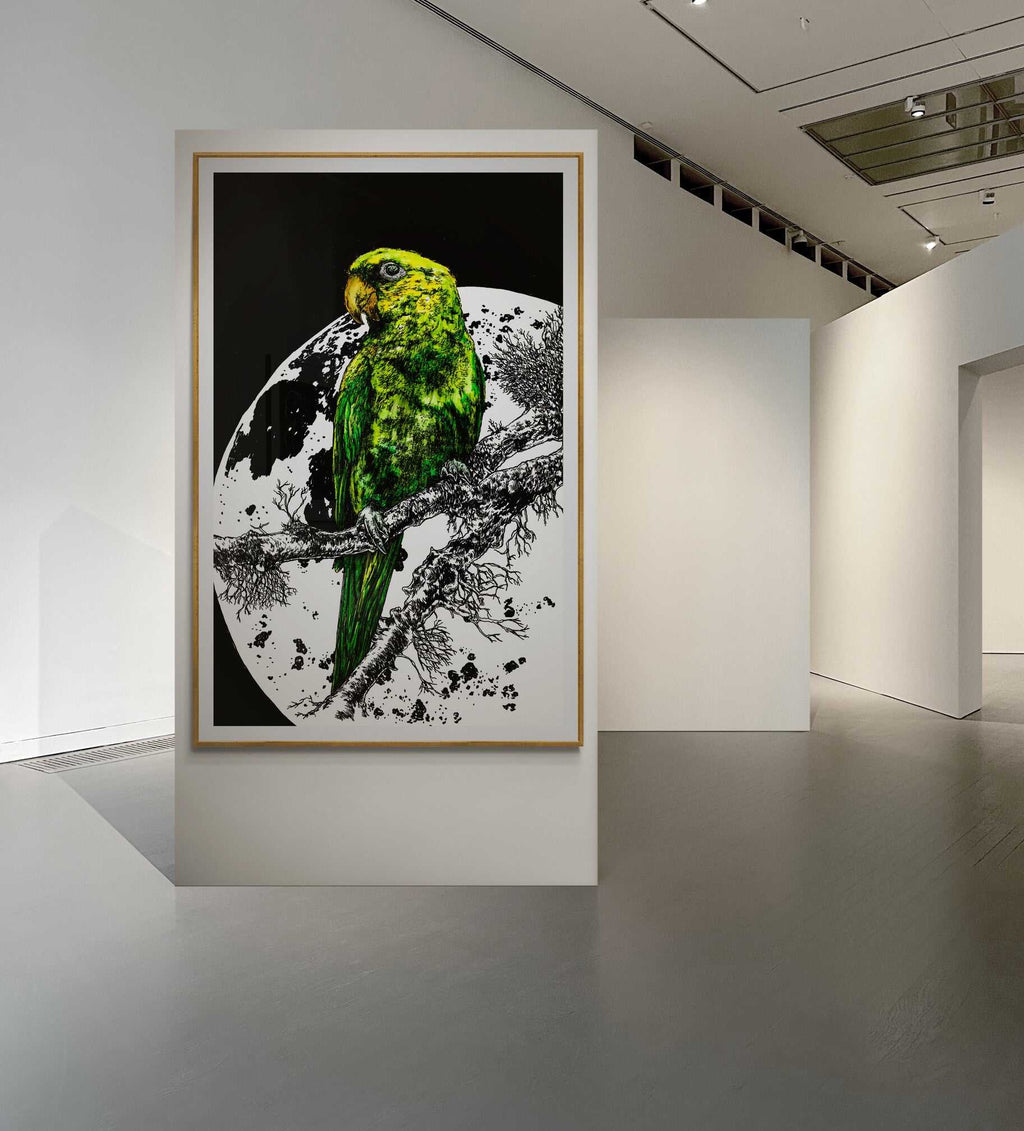 Parrot 1 Original Hand Drawn Wall Art Poster
