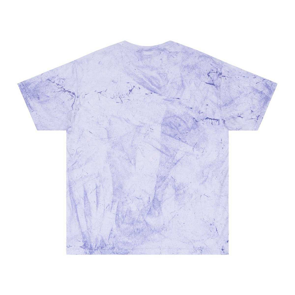 Artistic Crow Design Unisex Color Blast T Shirt