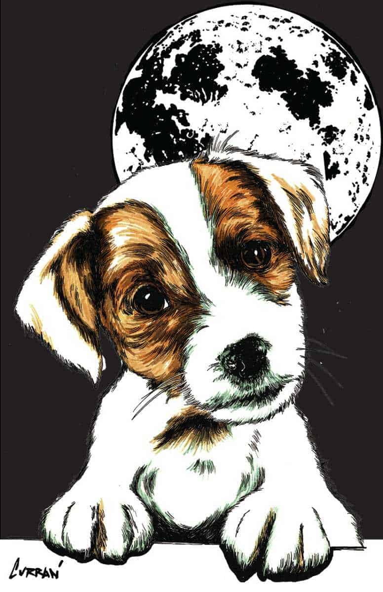 Beagle Digital Art Download by Kris Curran