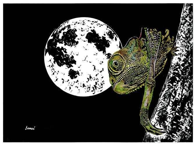 Chameleon 1 Digital Download | Unique Art by Kris Curran