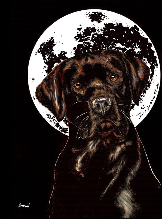 Chocolate Lab Digital Download - Curran Artworks