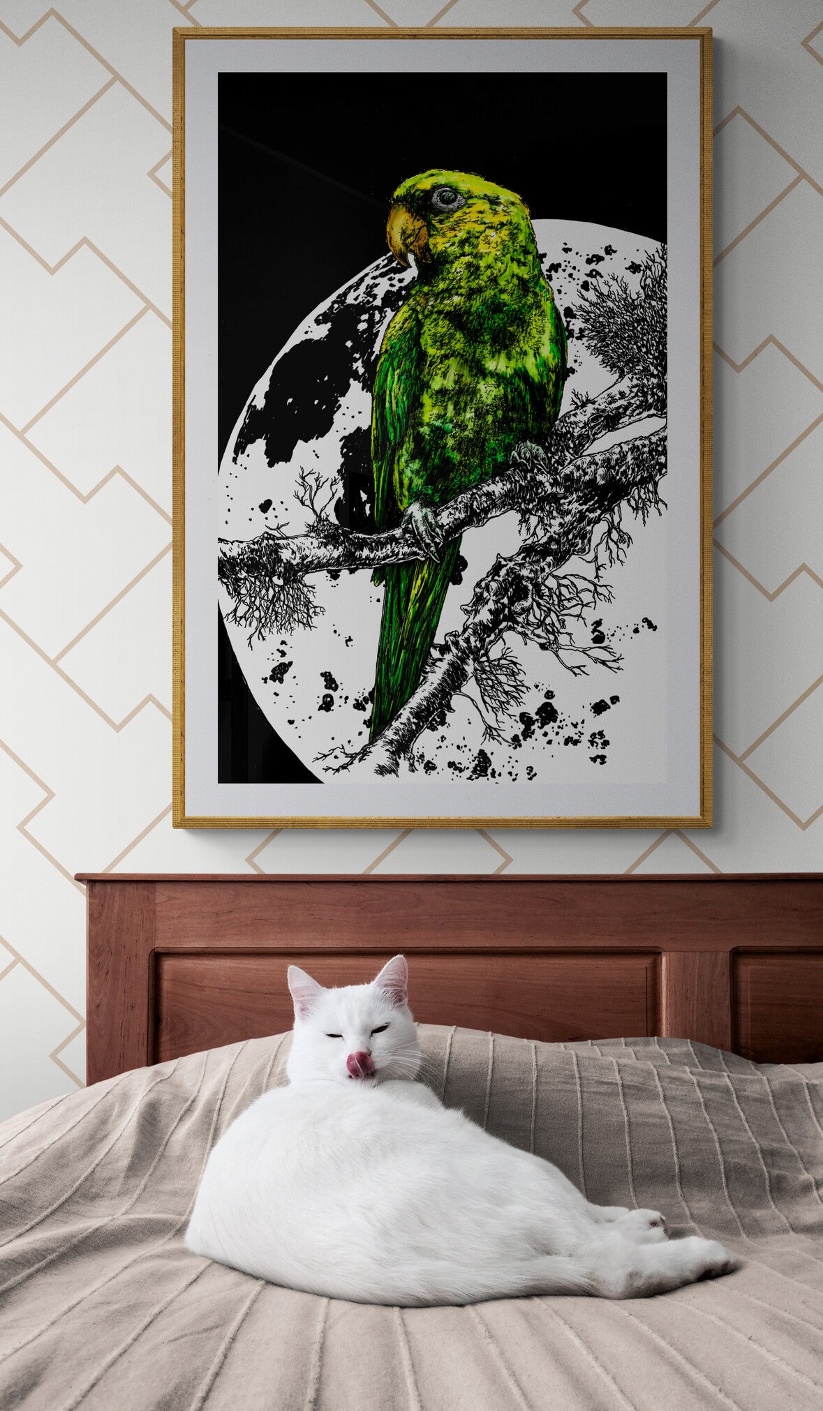 Parrot 1 Wall Art Poster