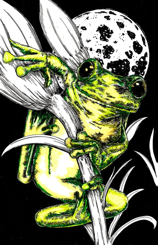 Frog 1 Digital Download - Curran Artworks