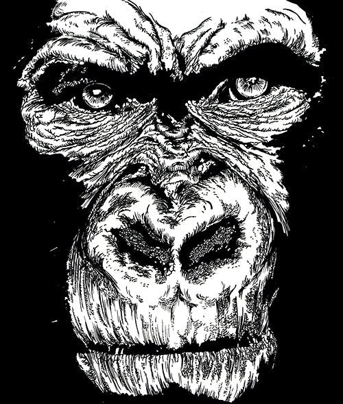 Gorilla Face 1 Digital Download - Curran Artworks