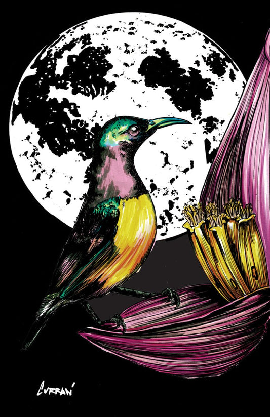 Hummingbird Digital Download - Curran Artworks