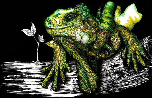 Iguana Digital Download - Curran Artworks