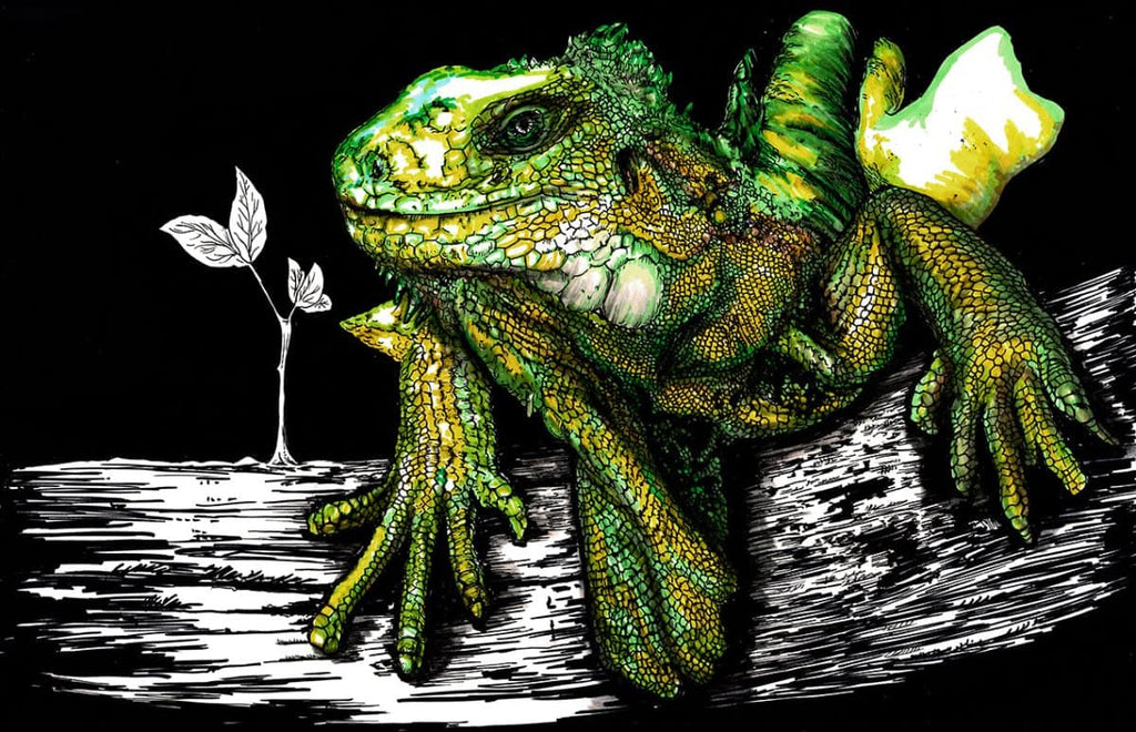 Iguana Digital Download - Curran Artworks