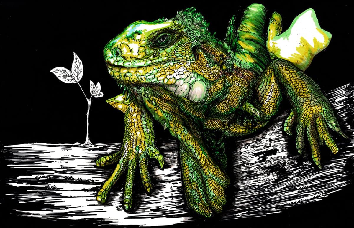 Iguana Digital Download - Curran Artworks