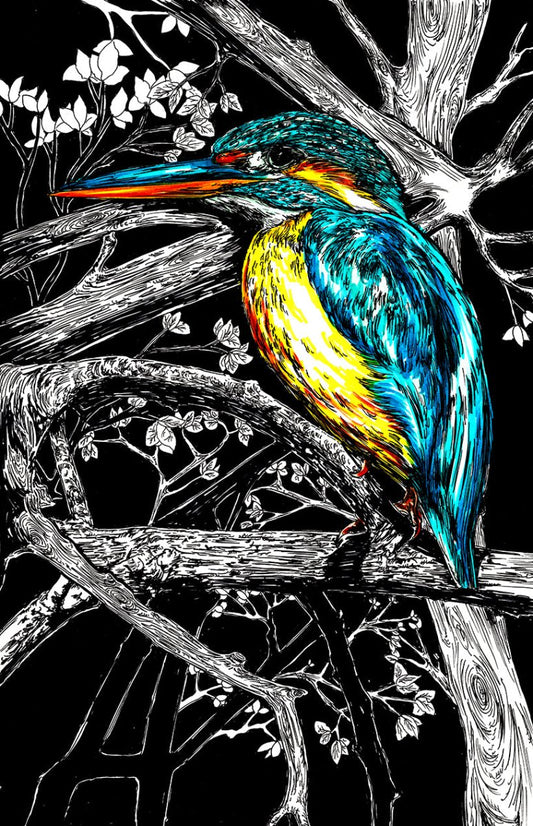Kingfisher Digital Download - Curran Artworks