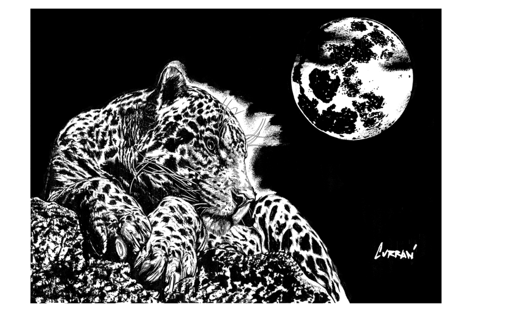 Leopard 1 Digital Download - Curran Artworks