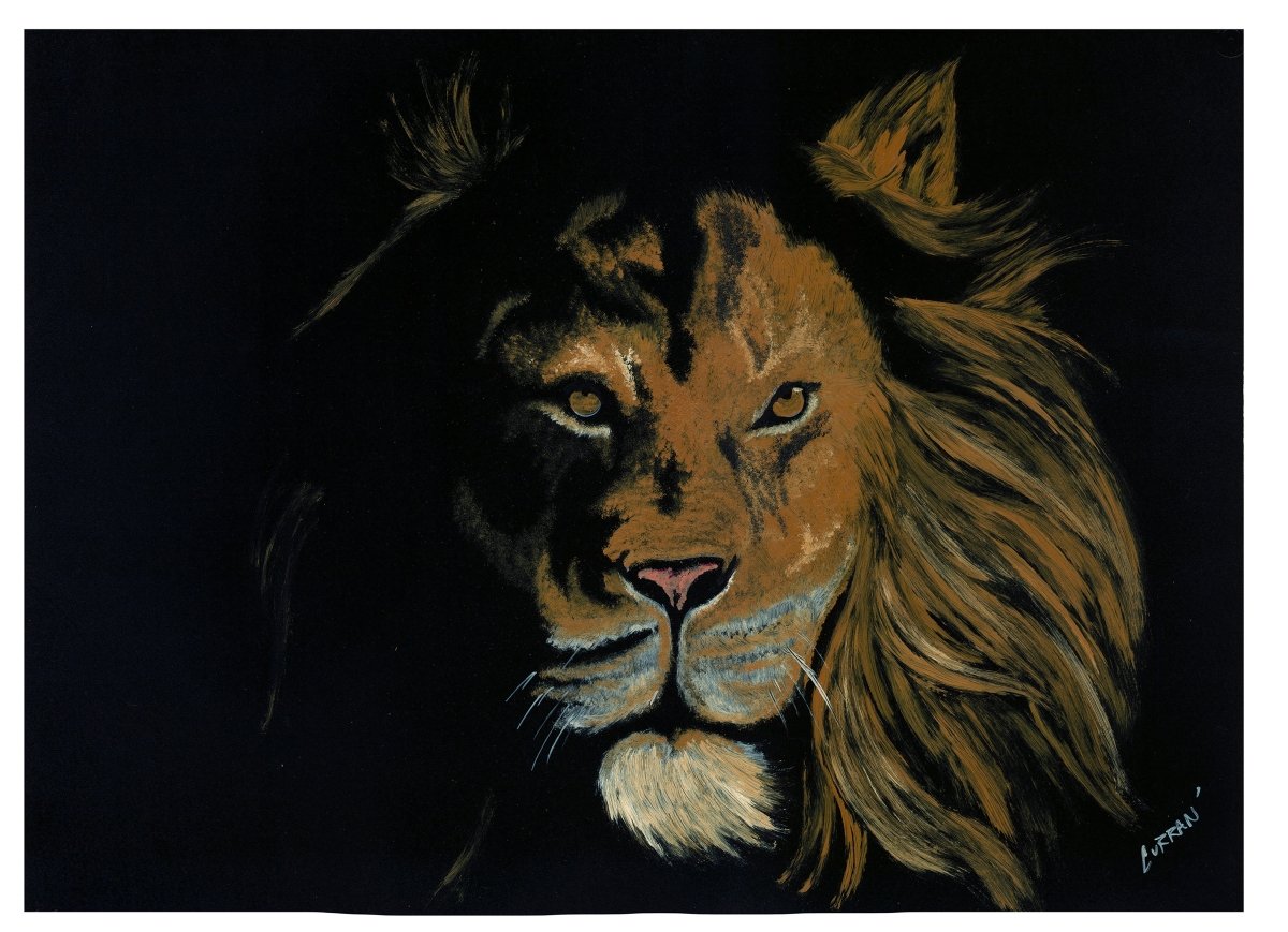 Lion Digital Download - Curran Artworks