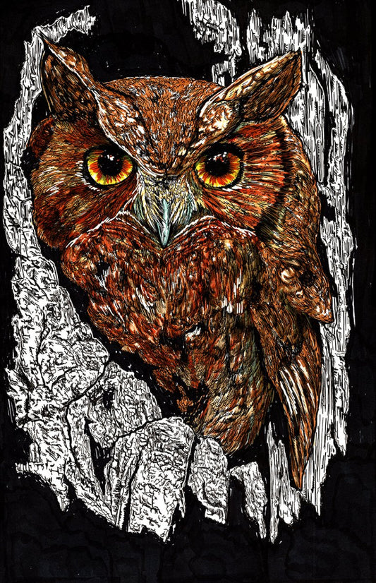 Owl 2 Digital Download - Curran Artworks