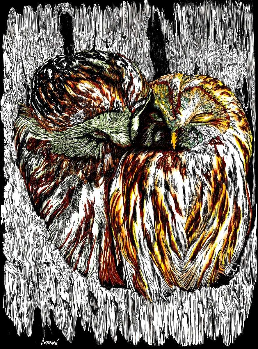 Owls Digital Download - Curran Artworks