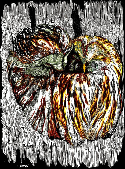 Owls Digital Download - Curran Artworks
