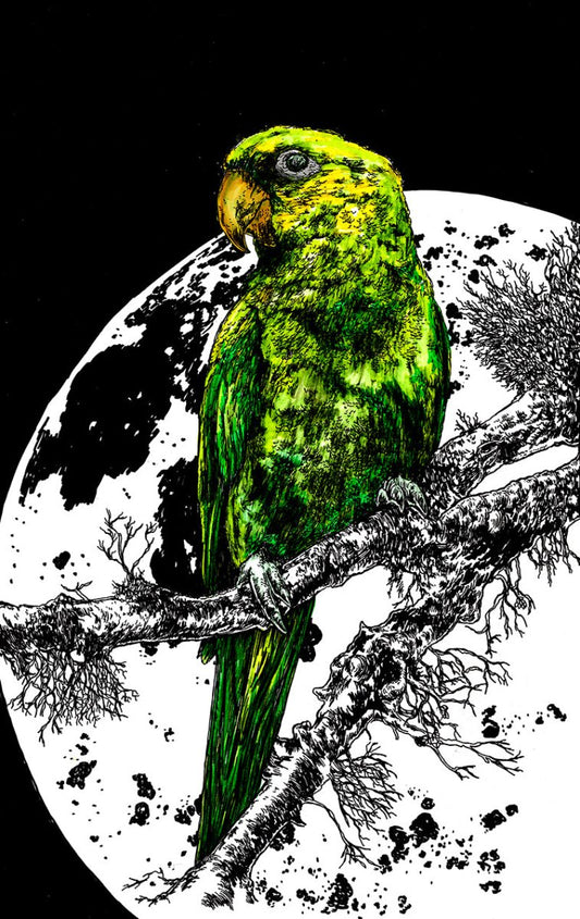 Parrot 1 Digital Download - Curran Artworks