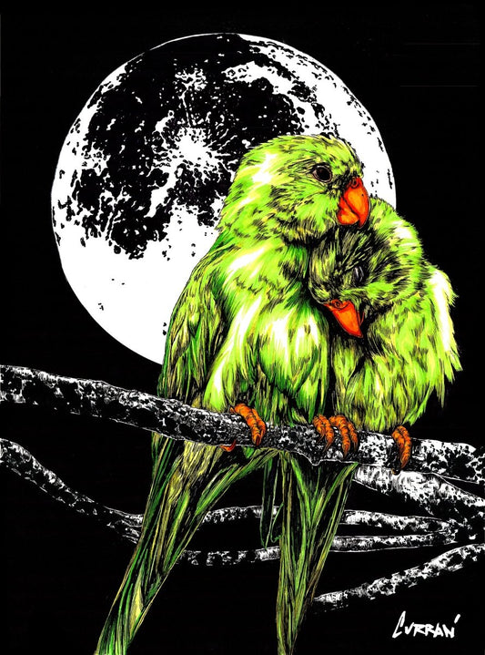 Parrots Digital Download - Curran Artworks