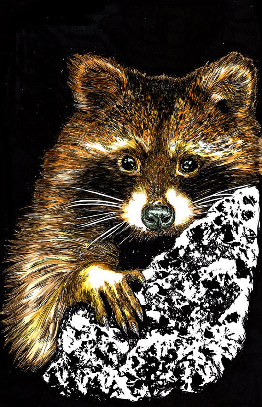 Raccoon Digital Download - Curran Artworks
