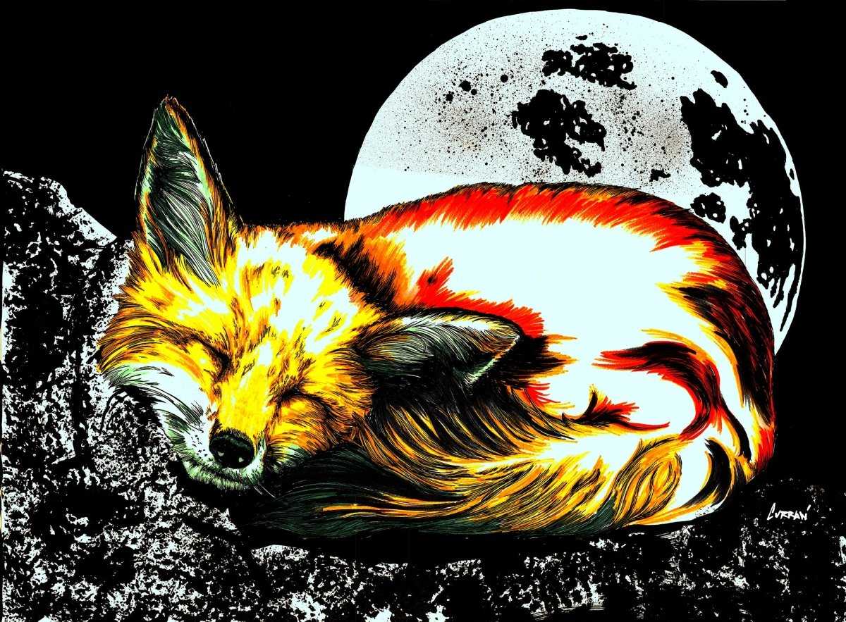 Red Fox Digital Download - Curran Artworks