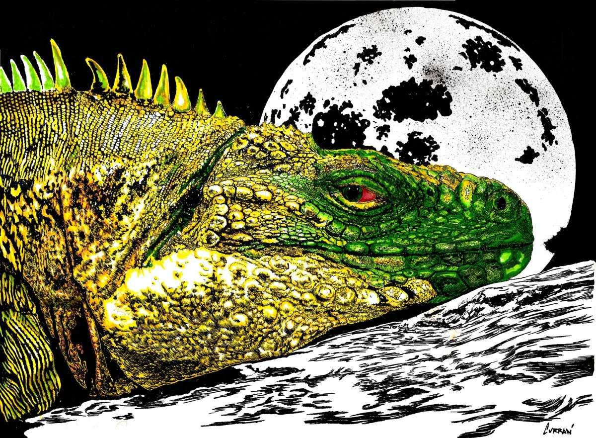 Reptile Digital Download - Curran Artworks