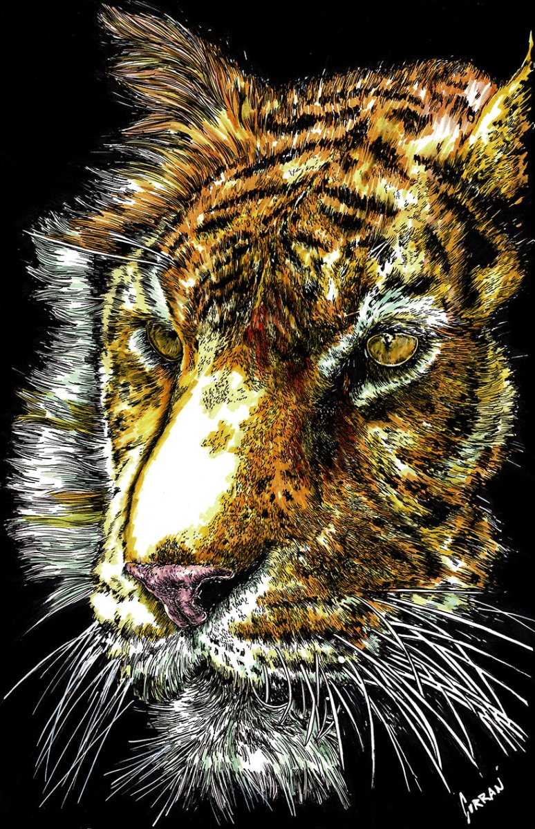 Tiger 2 Digital Download - Curran Artworks