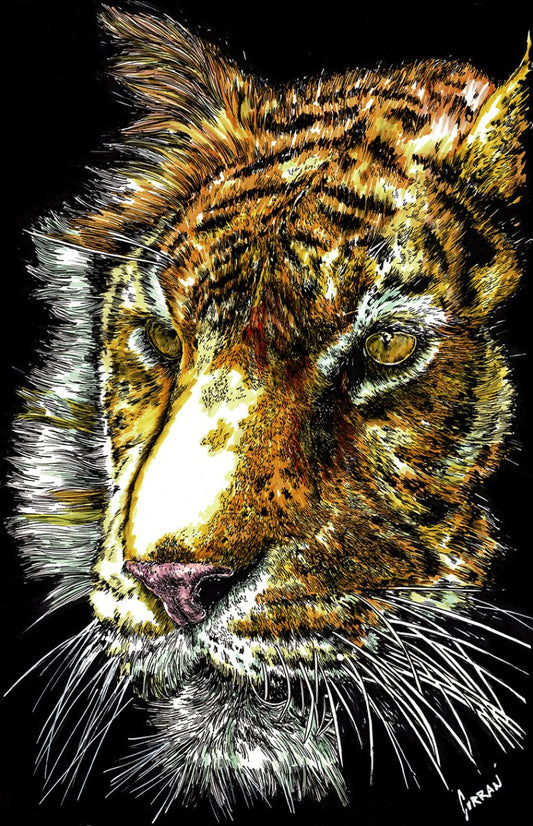 Tiger 2 Digital Download - Curran Artworks