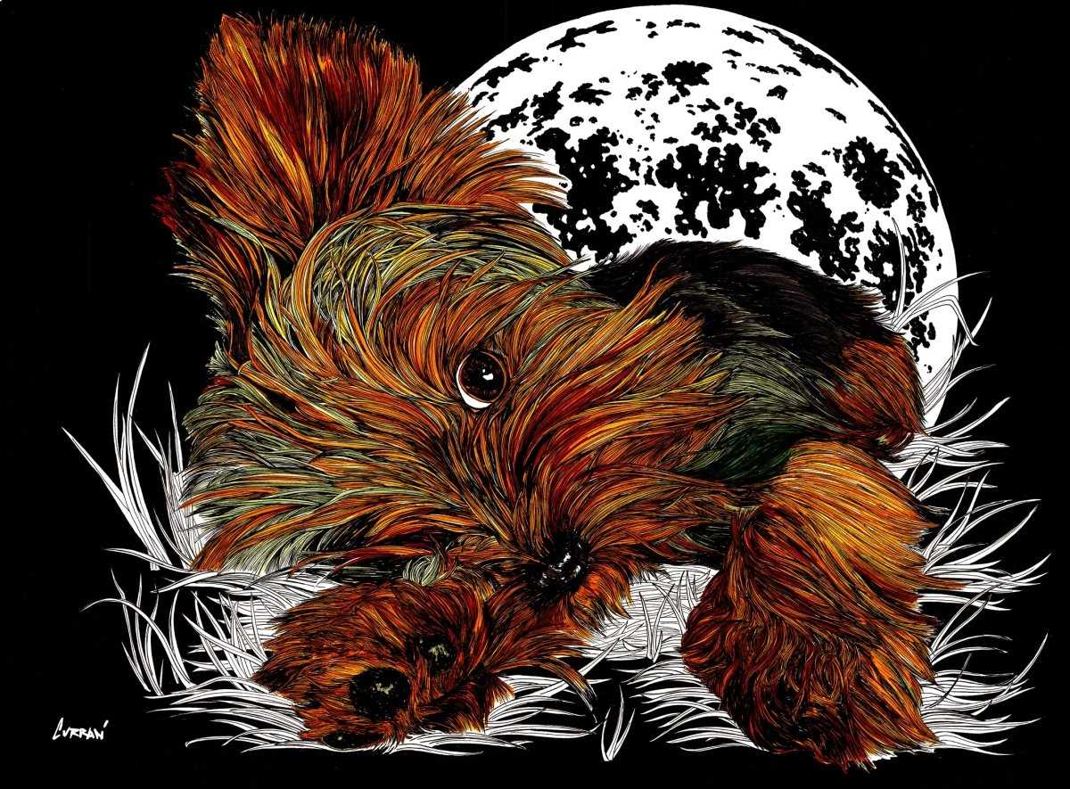 Yorkie Terrier 1 Digital Download - Curran Artworks