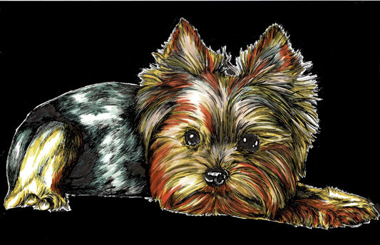 Yorkie Terrier 2 Digital Download - Curran Artworks